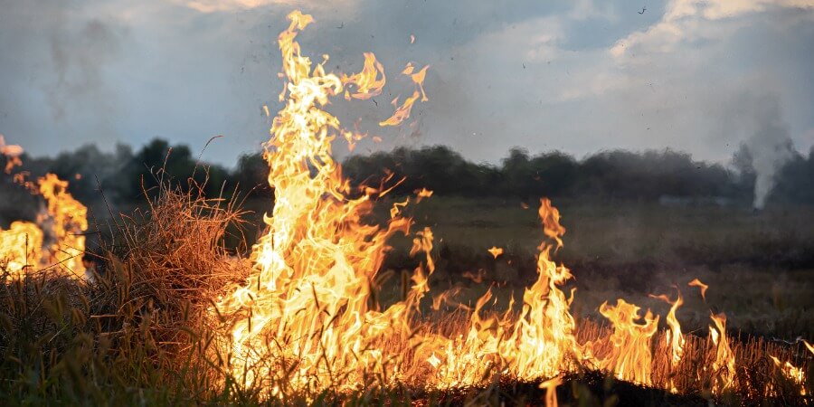 Delitos de incendio